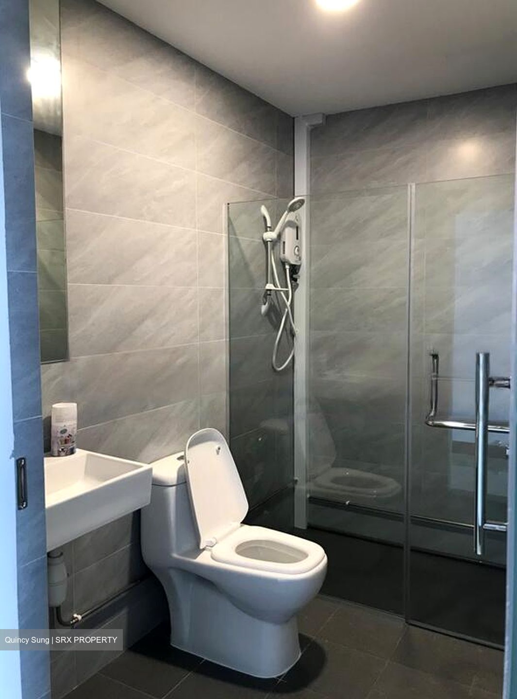 Parc Oasis (D22), Condominium #477024061